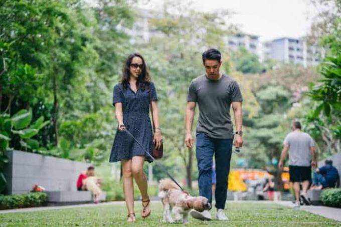 Mann und Frau gehen mit ihrem Hund spazieren