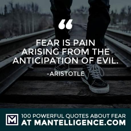 citati o strahu #17 - Strah je bol koja proizlazi iz iščekivanja zla.